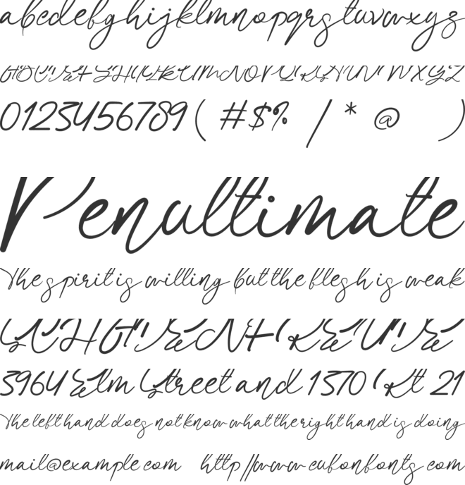 Sallina font preview