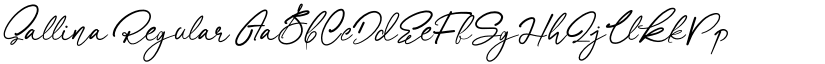 Sallina font download