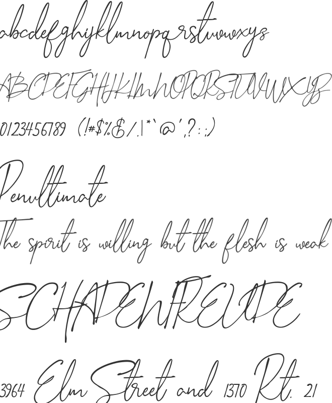 Sella Callista font preview