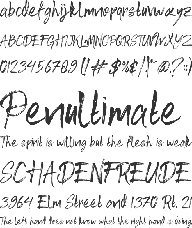 Fusha Brush font preview