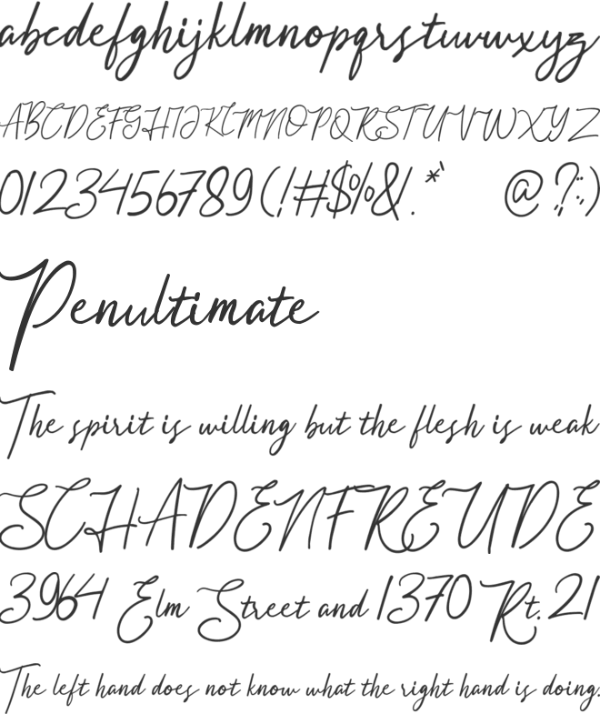 Acelire Rosse font preview