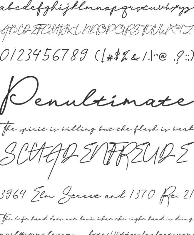 The Bright Road font preview