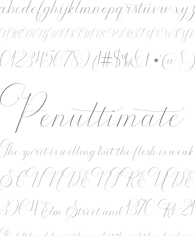 Rodanthe font preview