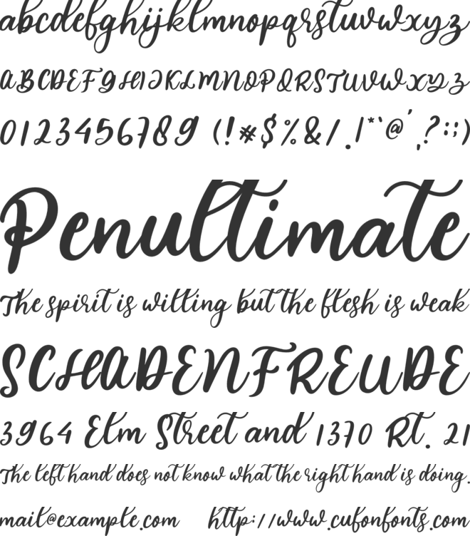 blossom font preview