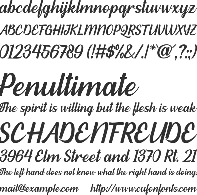 Habibie font preview