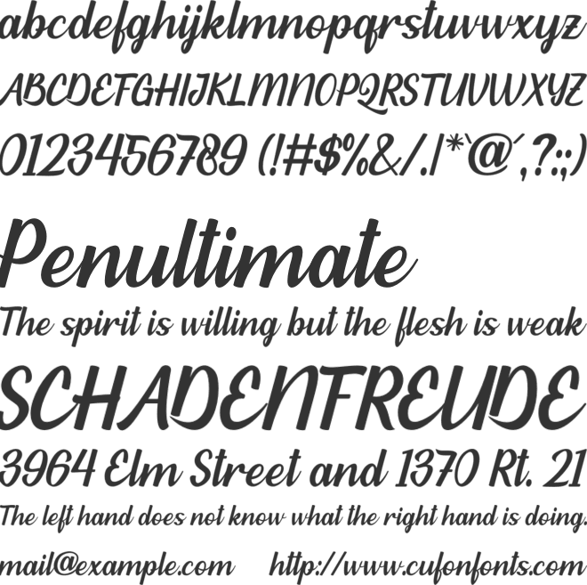 Habibie font preview