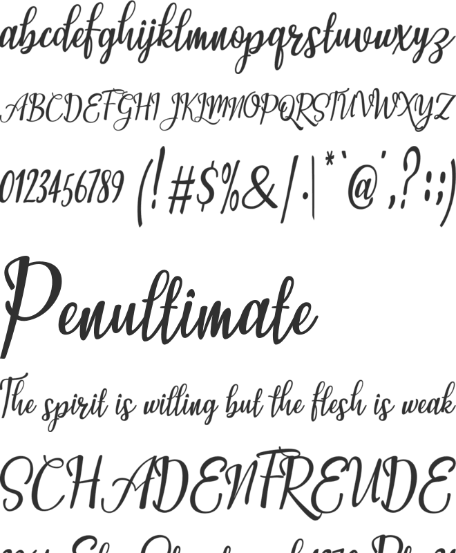 Michelle Stine Script font preview