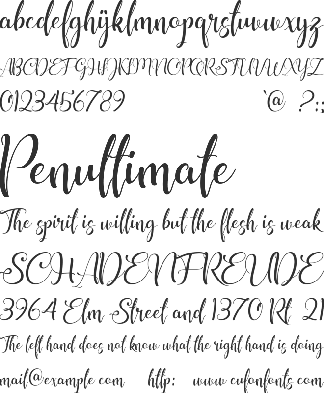 shunligh Personal Use Only font preview