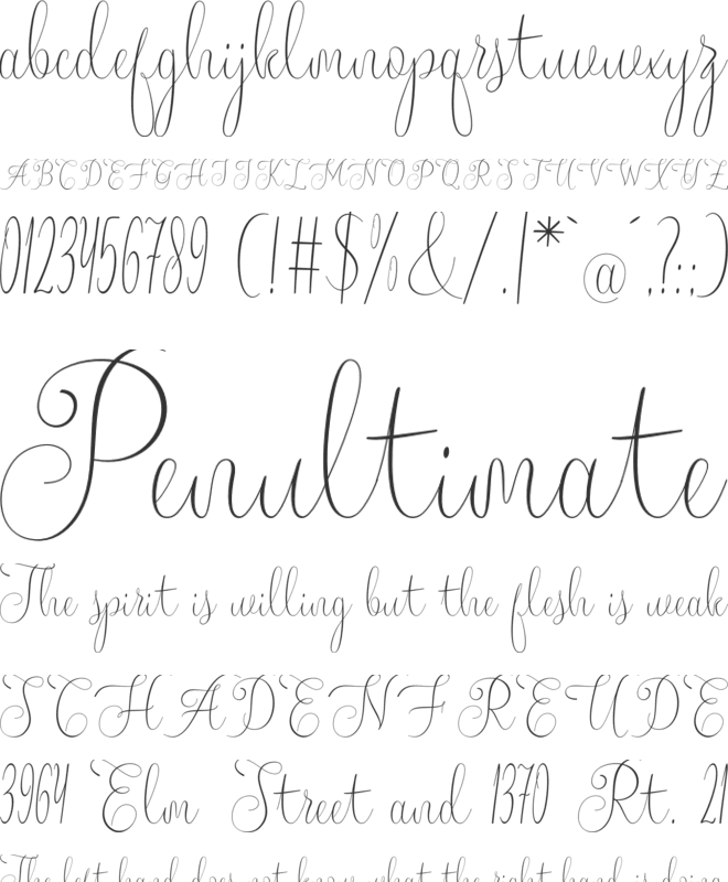 Yolanda font preview