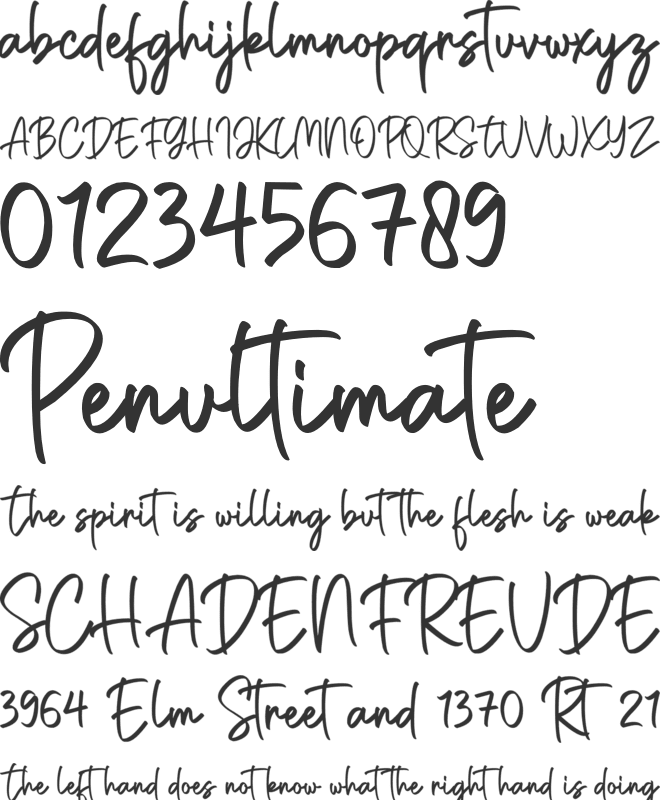 Caroline Amanda font preview