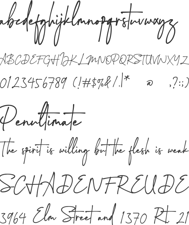 Montreuil Signature Font font preview