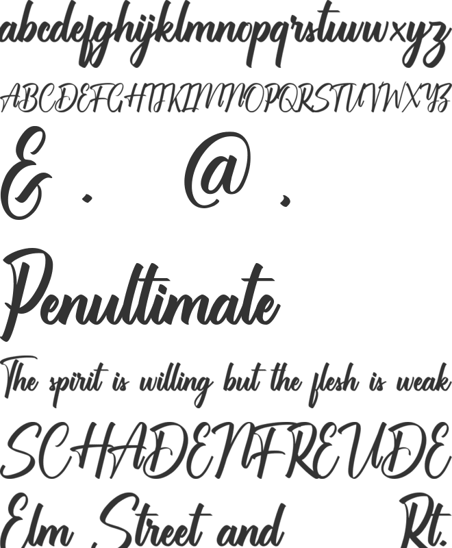 Chaprile Calligraphy font preview