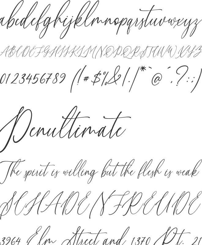 Willion font preview