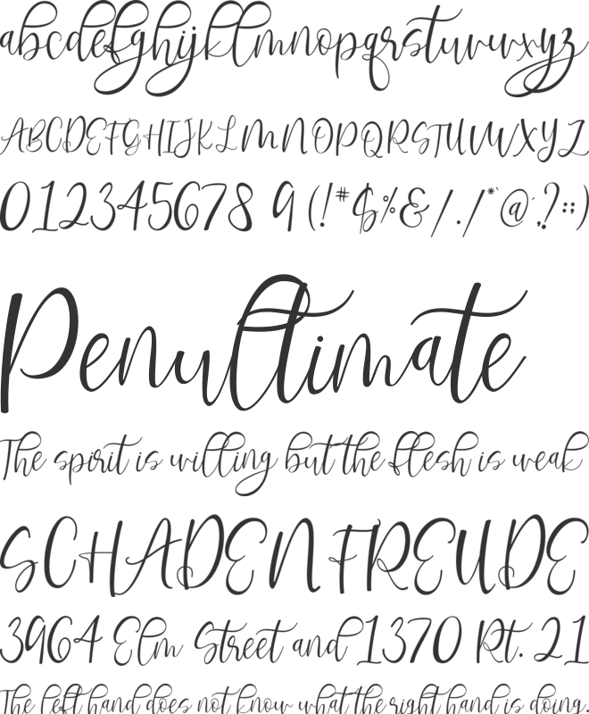 Revalisha font preview