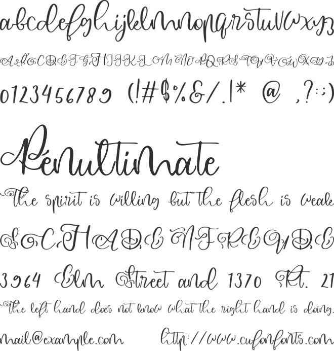 Sally font preview