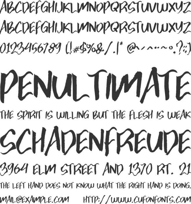 Zonijone font preview