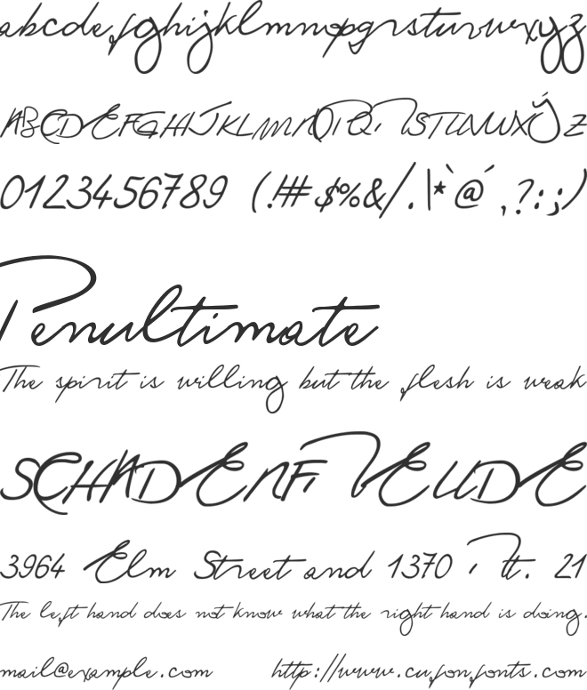 Ronald Handwriting font preview