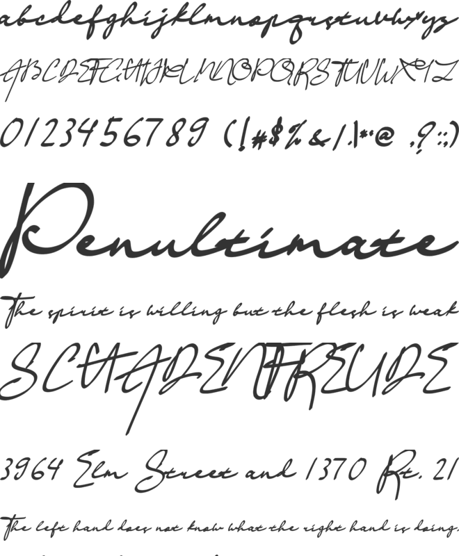 Prewedding font preview