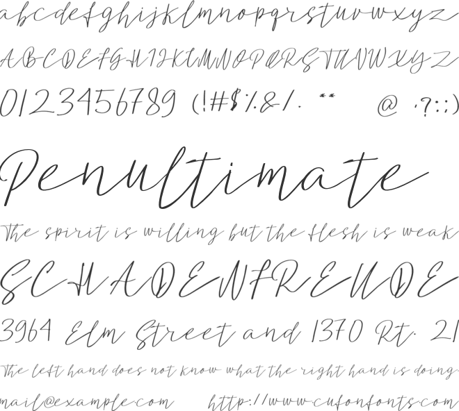 Analisa font preview