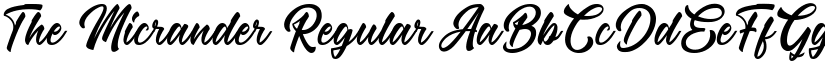 The Micrander Regular font