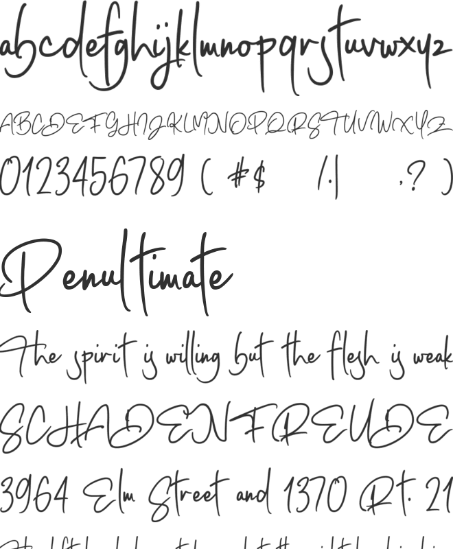 Coastal Musk font preview
