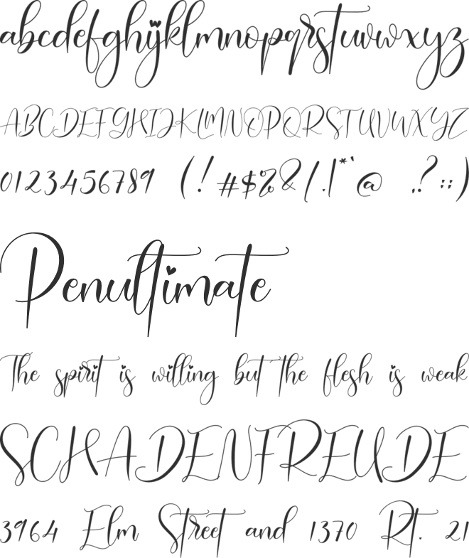 Paisley font preview