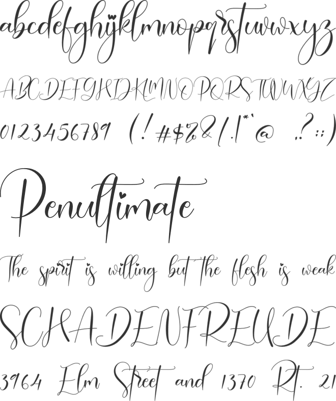 Paisley font preview
