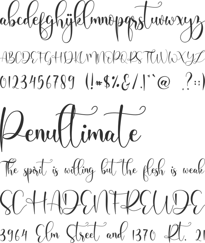 Domiland font preview