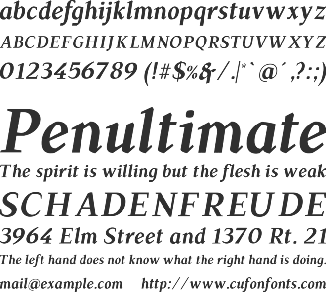 TS-Chapinero Serif font preview