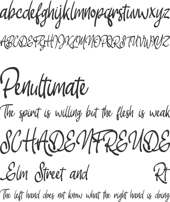 Bloemista font preview