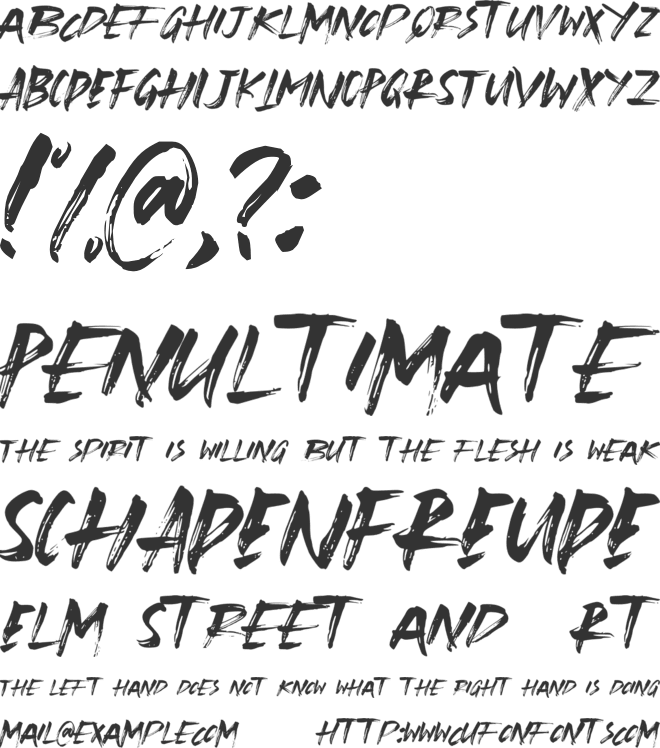 Blindspot font preview