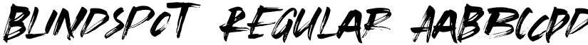 Blindspot font download