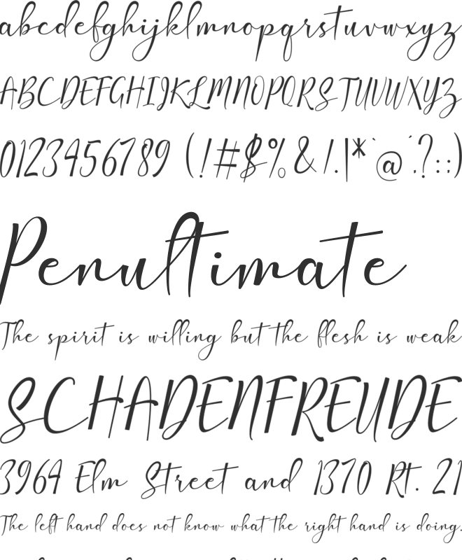 Amlight font preview