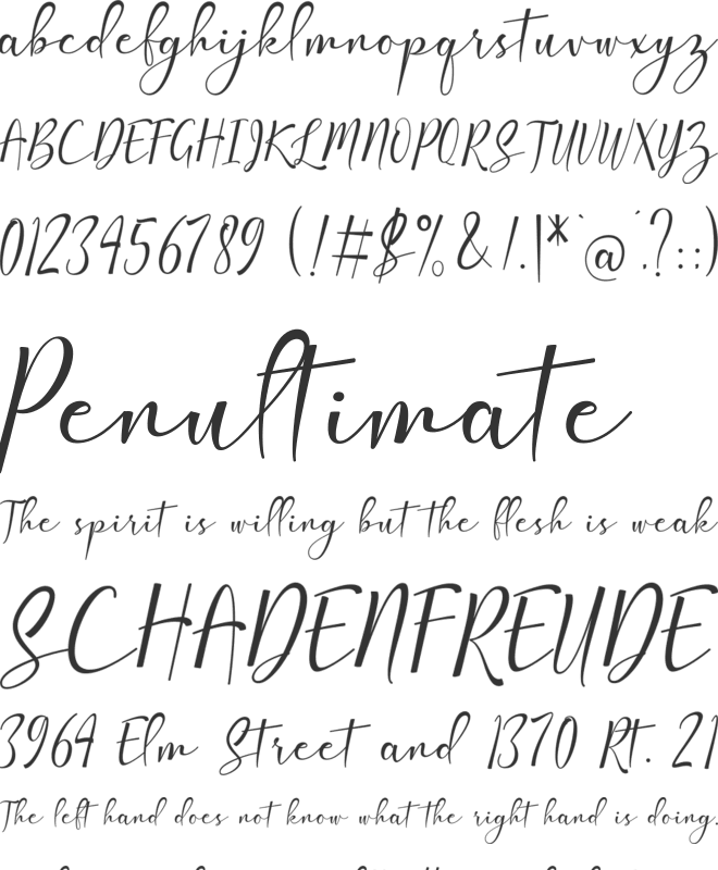 Amlight font preview