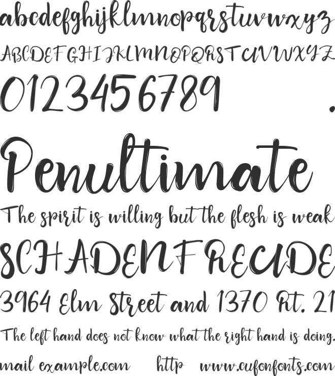 Wildest Dream font preview