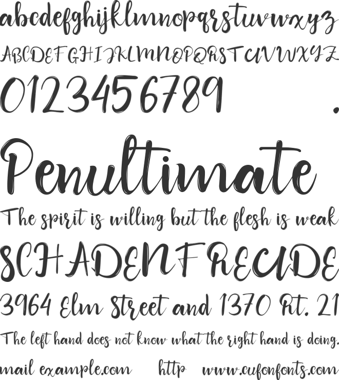 Wildest Dream font preview