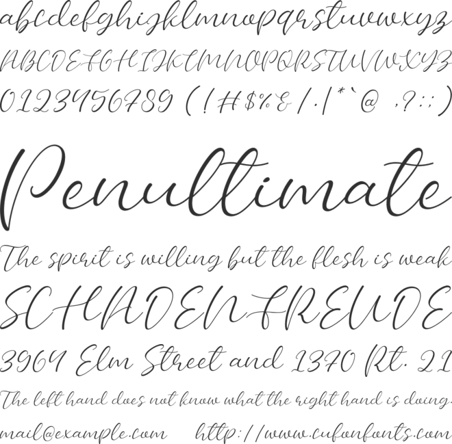 Bellany font preview