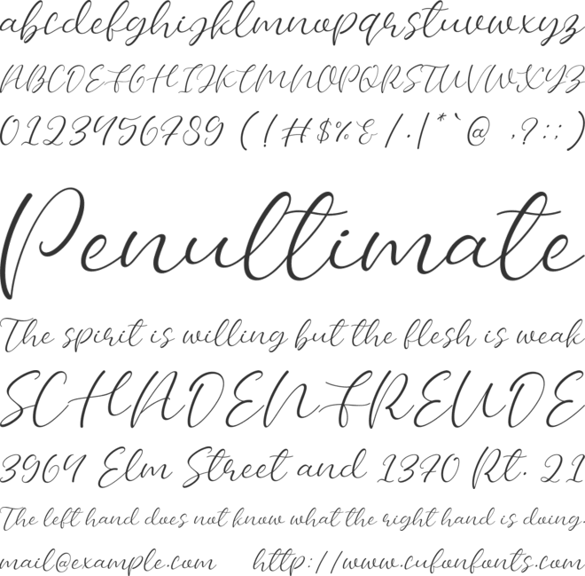 Bellany font preview