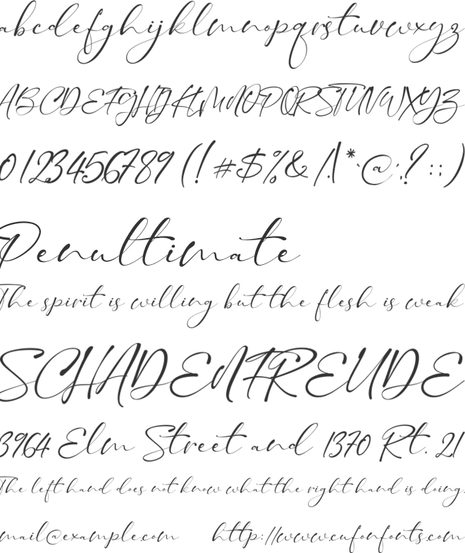 Taman Signature font preview