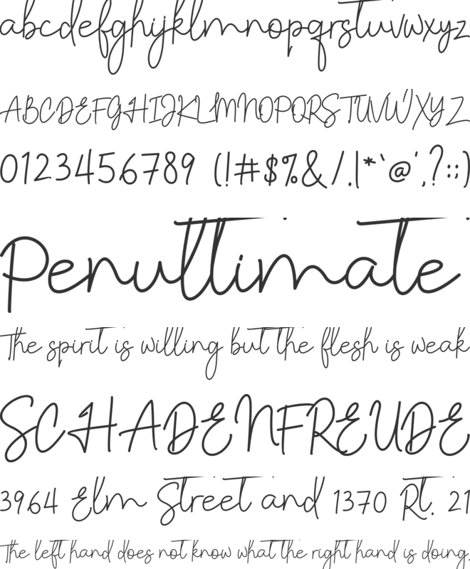 Lattiefa font preview