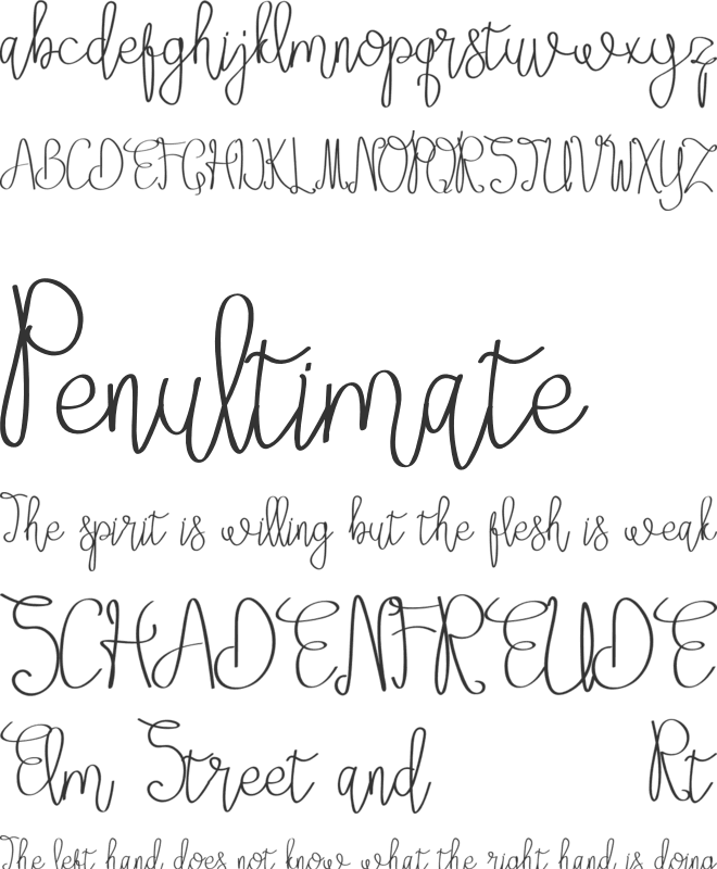 Setia winers font preview