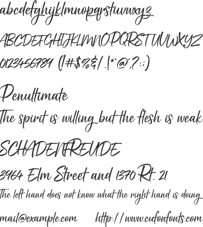 Holiday Script font preview