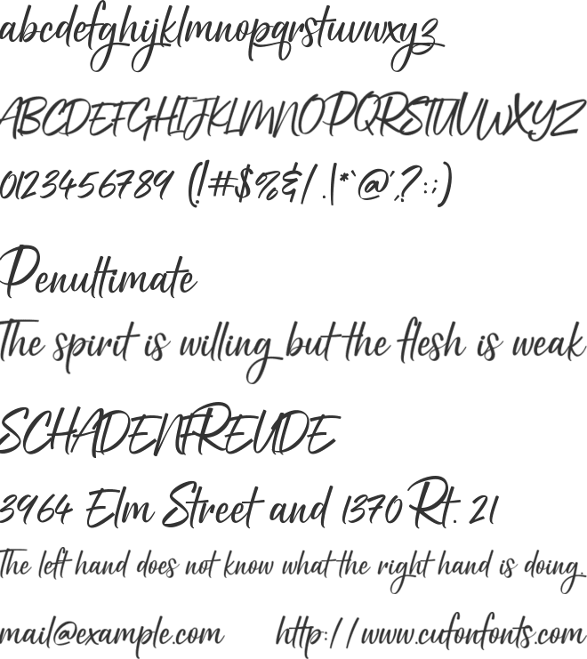 Holiday Script font preview