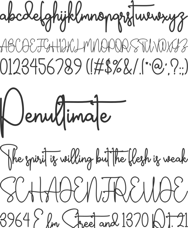 Bertrade font preview