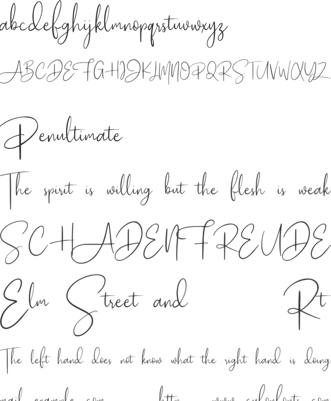 Poliesster Free font preview