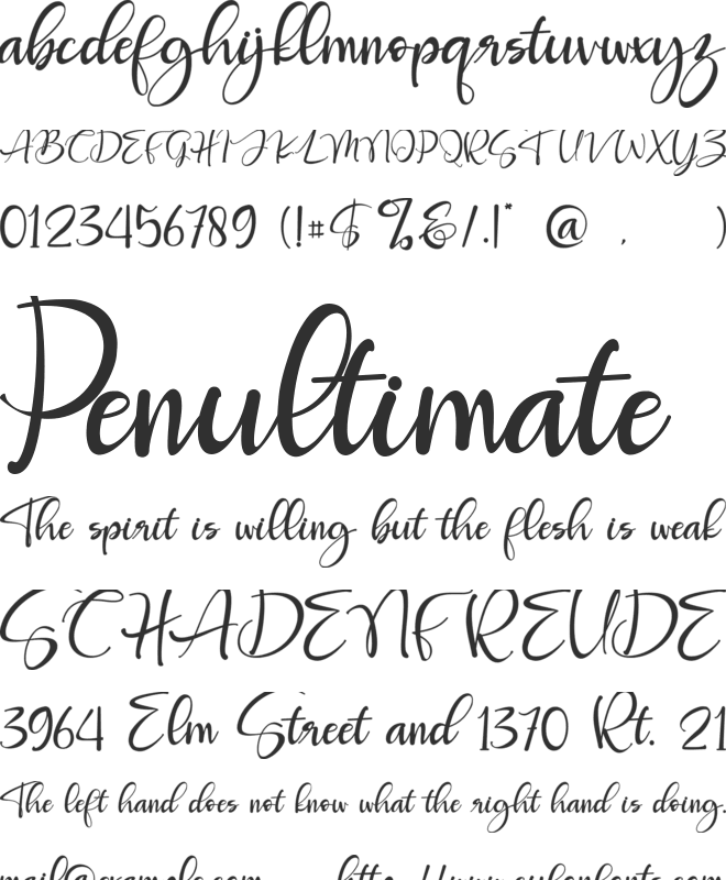 Roberto font preview