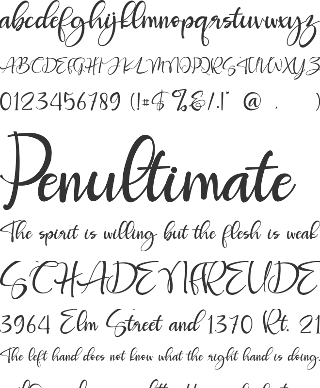 Roberto font preview