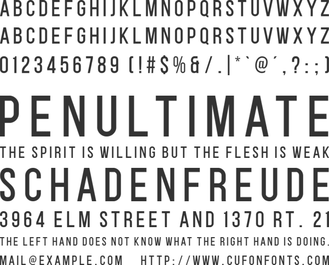 Z BONUS 01 font preview