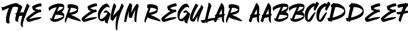 The Bregym Regular font