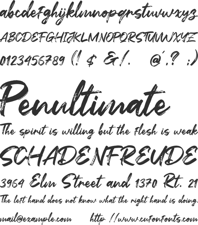 Flashing font preview